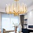 Ritz Fern Chandelier фото 10