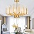 Ritz Fern Chandelier фото 7