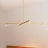 Люстра Austere Ceiling Light 3 плафона  фото 4